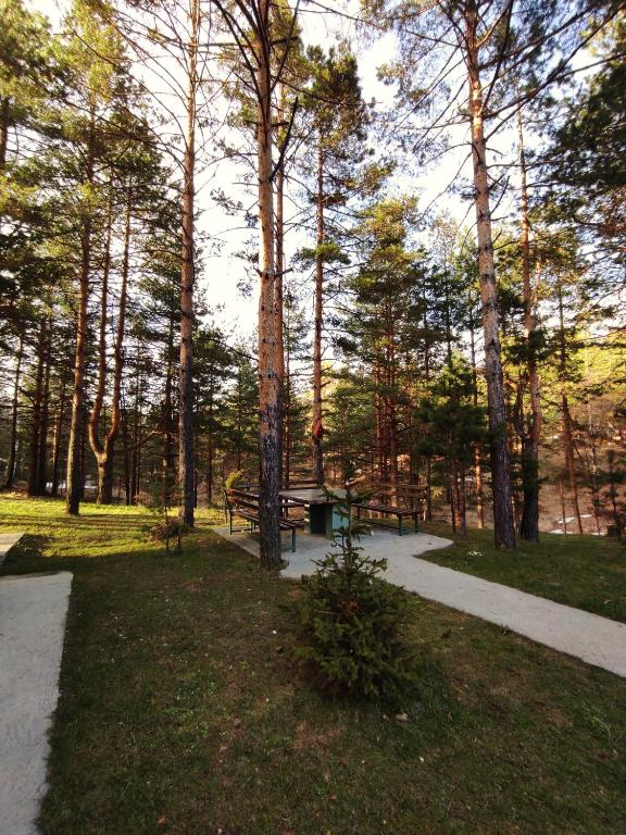 Příroda nedaleko apartmánu