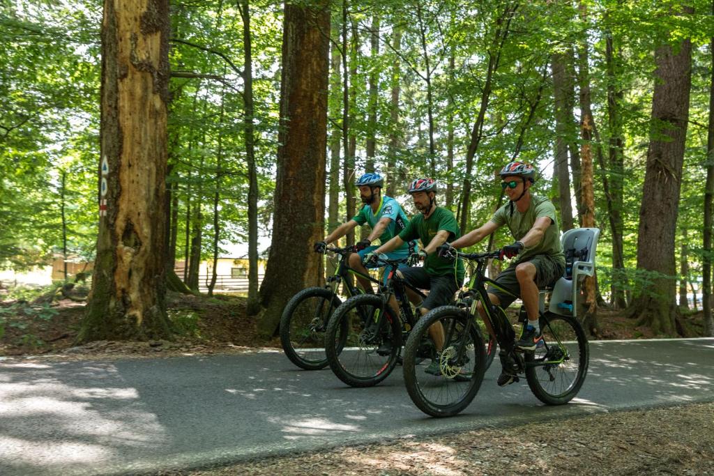 Hotel Casa Viorel jacuzzi & saunas - Resim 39