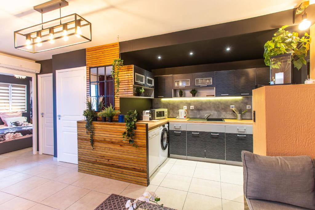 una cucina con lavandino e lavastoviglie di Superbe appartement - Terrasse-clim-2 chambres a La Valette-du-Var
