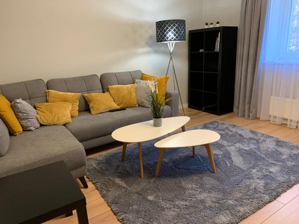 uma sala de estar com um sofá e duas mesas em Apartament Brzeziny Olsztyn em Olsztyn