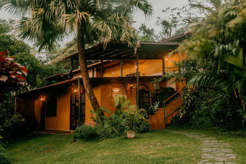 Zahrada ubytování The Golden Frog Inn