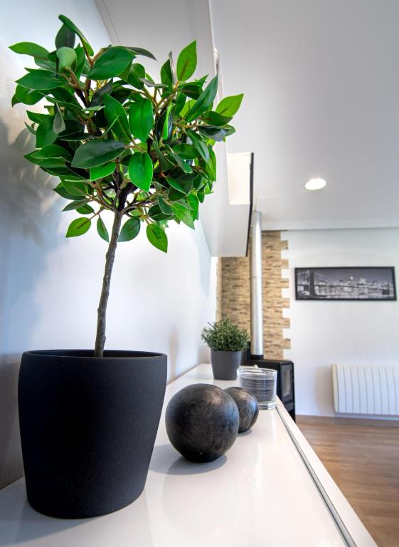 Night Day extra - 17