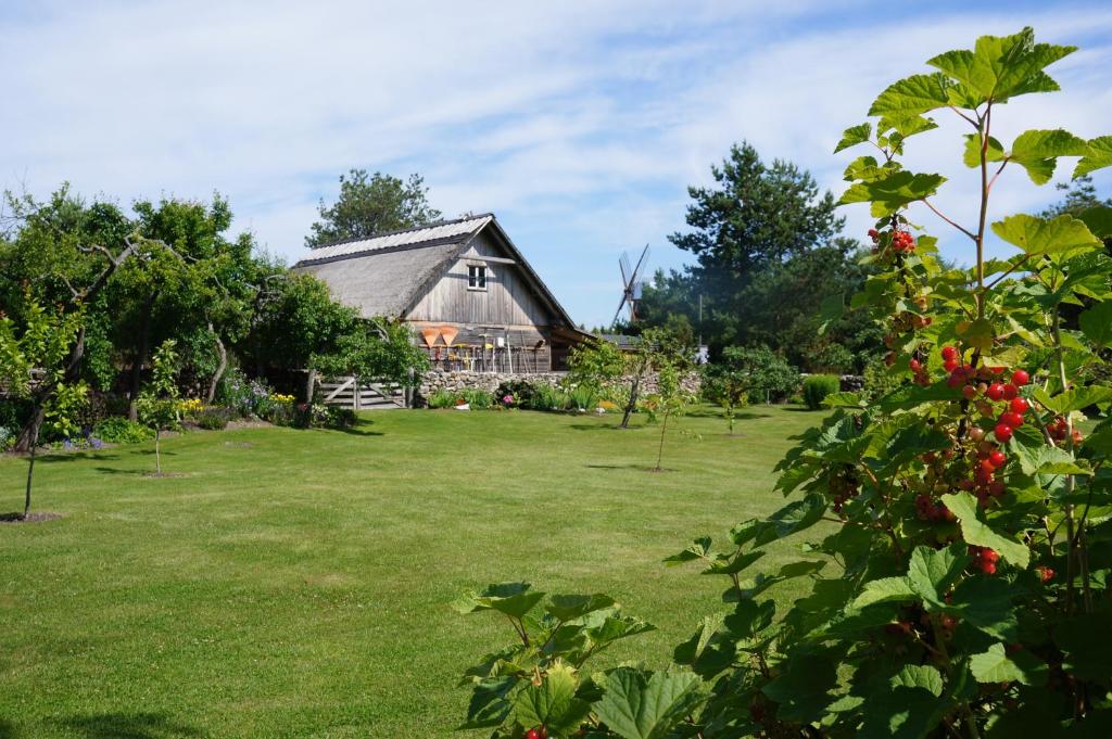 Zahrada ubytování Mardi Farm Stay