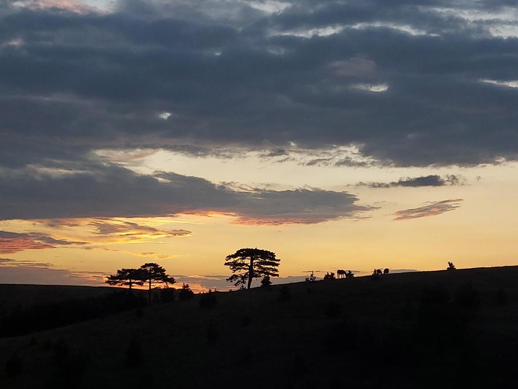 Paesaggio naturale nelle vicinanze della casa vacanze