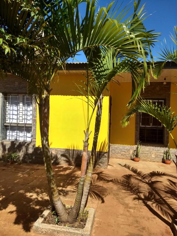 zwei Palmen vor einem gelben Gebäude in der Unterkunft Betel tu casa de refugio in Puerto Iguazú
