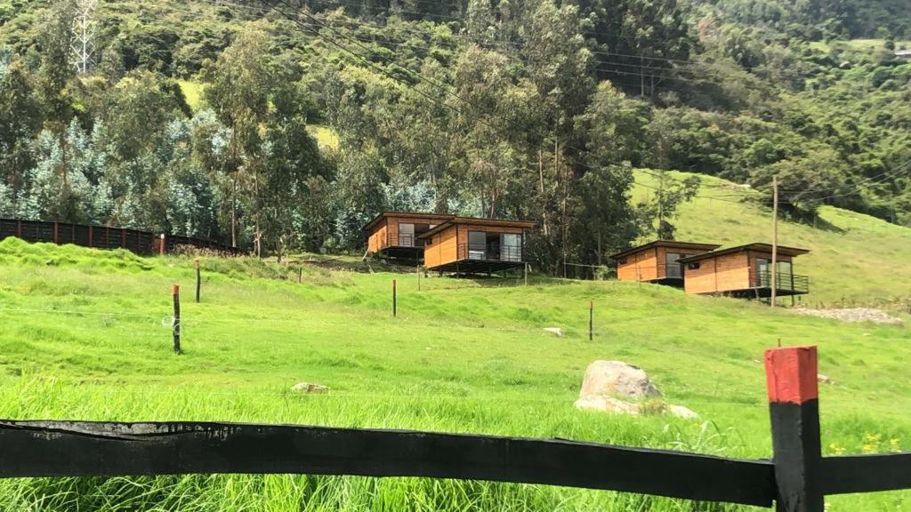 GLAMPING LA CUMBRE Nido del Cóndor في كاجيتسا: حقل أخضر مع بيوت على تلة