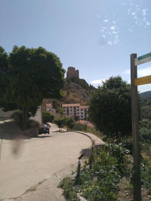 Příroda nedaleko apartmánu