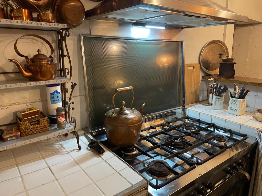 a kitchen with a stove with a pot on it at Gîtes à la campagne - La Petite Clavelie in Ribérac