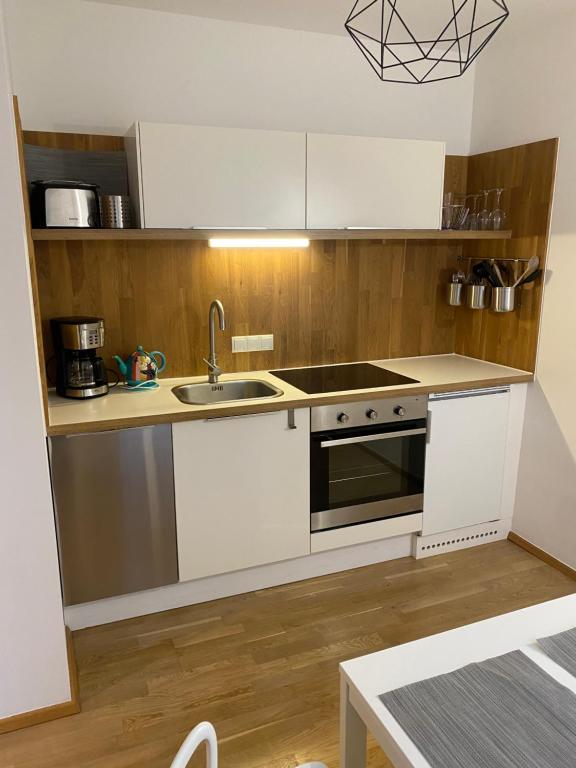 Kuchyňa alebo kuchynka v ubytovaní Appartement in Graz-Geidorf