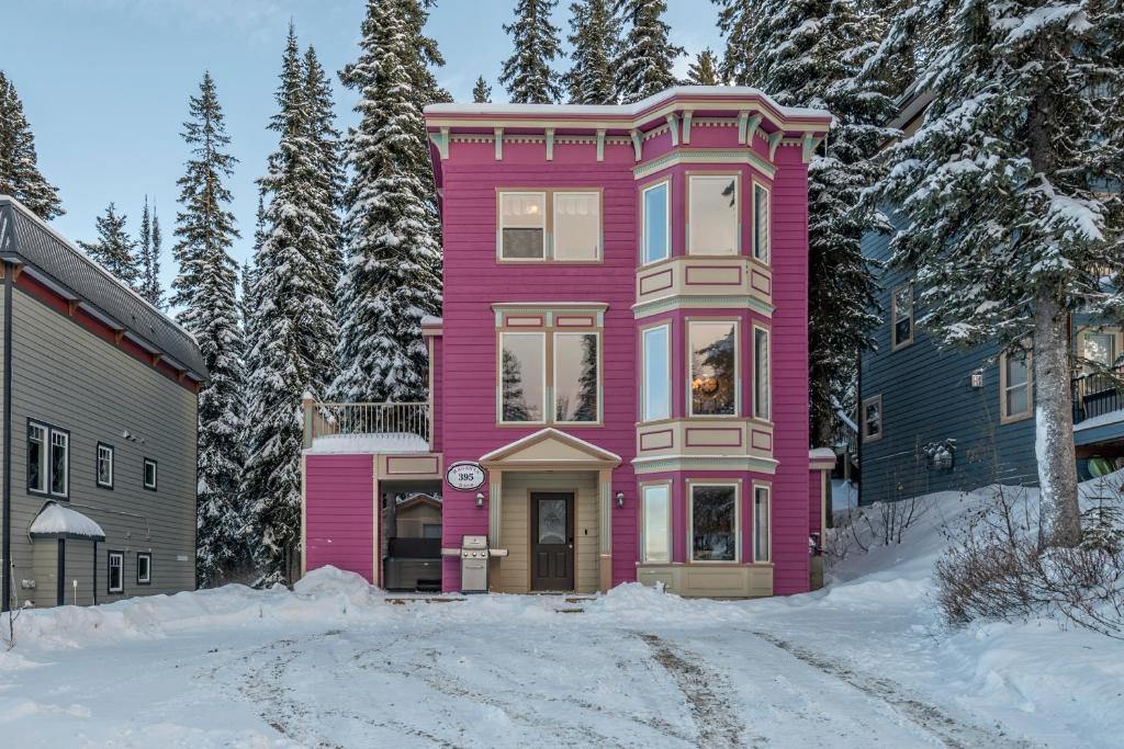 Magenta Haus