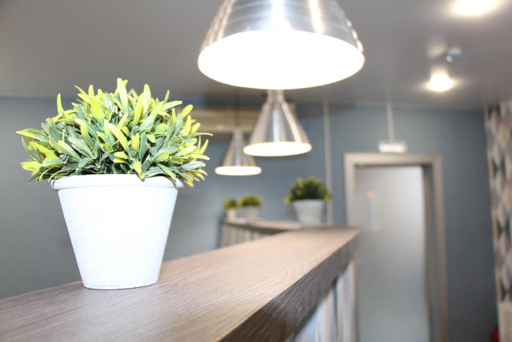 two potted plants sitting on top of a counter at Мини-отель Кают-компания in Khabarovsk