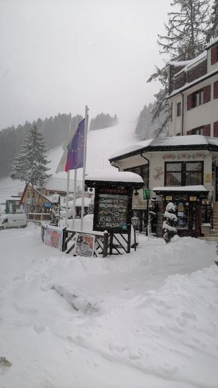 Alpin Borovets, Алпин Боровец v zimě