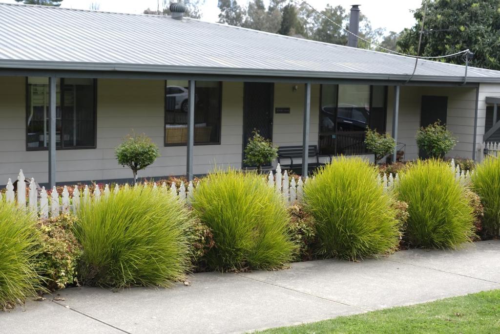 a fence in front of a house with green bushes at Belford House in Myrtleford