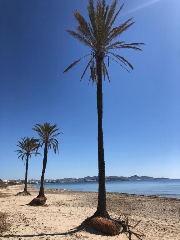 Hippie Beach Ibiza Apartment, Playa den Bossa, Spain ...