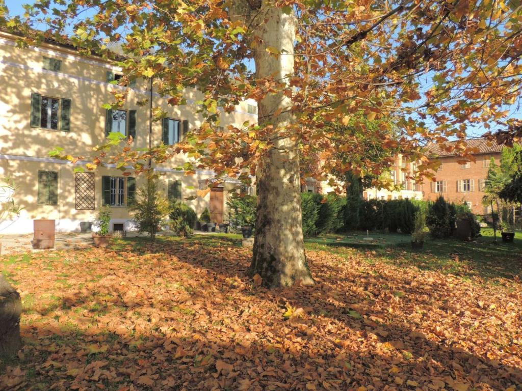 A garden outside Corte dell'Uva