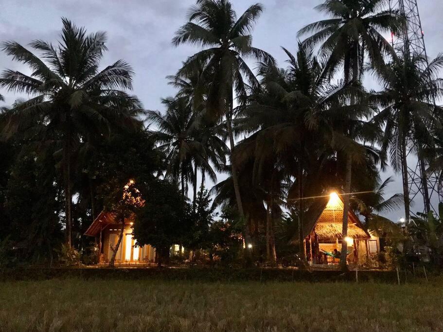 a house in a field with palm trees at night at Saung Batukaras 1 in Tjidjulang