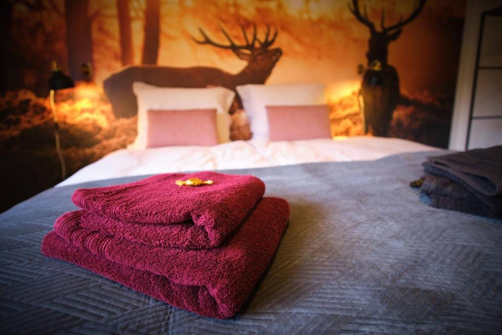 uma cama com uma toalha rosa em cima em Ferienwohnung Eschenberg em Winterberg