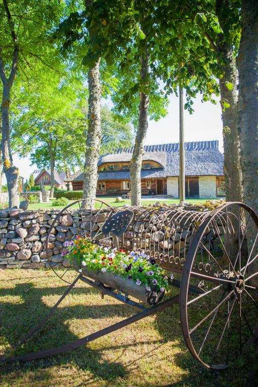 Zahrada ubytování Mardi Farm Stay