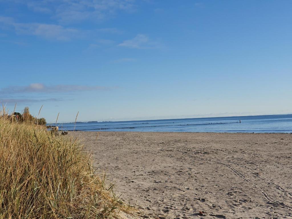 piaszczysta plaża z oceanem w tle w obiekcie Sanddorn Sanddorn - Whg 01 w mieście Großenbrode