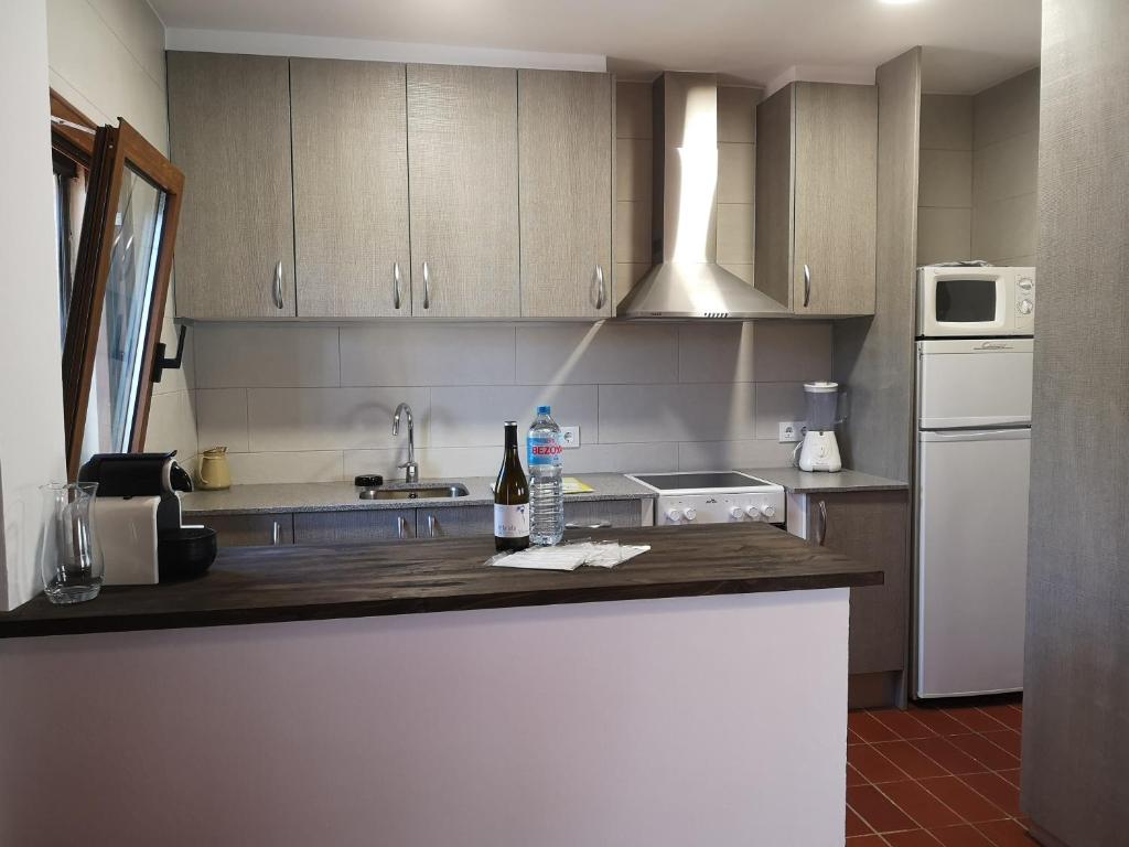 A kitchen or kitchenette at LLOGUER30 La Rajoleria para desconectar