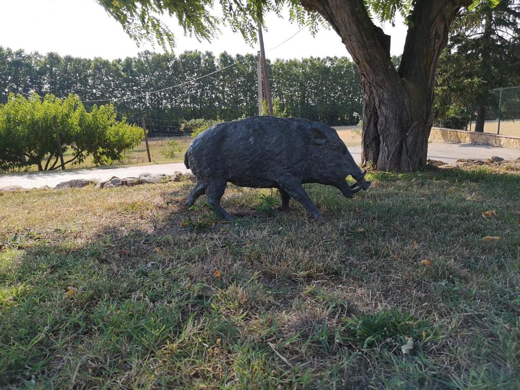 Állatok a nyaralóban vagy a közelben