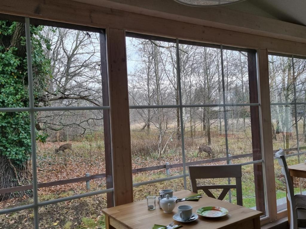 Spreewälder Feriendomizil/Pension - 3