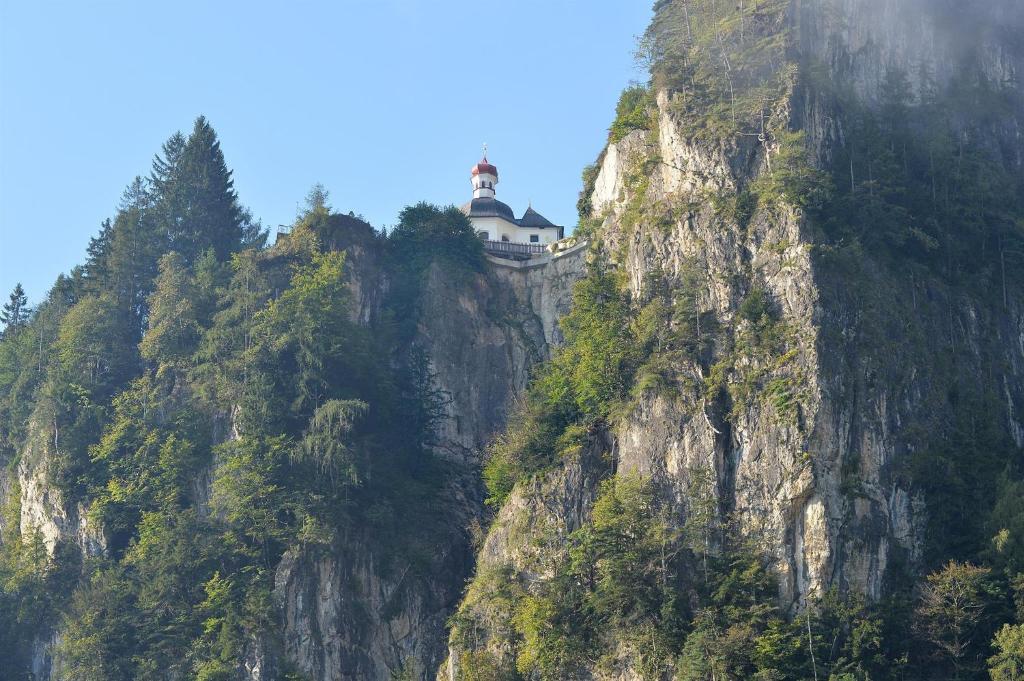 Příroda nedaleko apartmánu