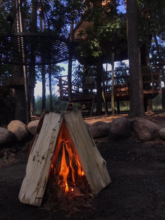 Domek na Drzewie! - Chalet