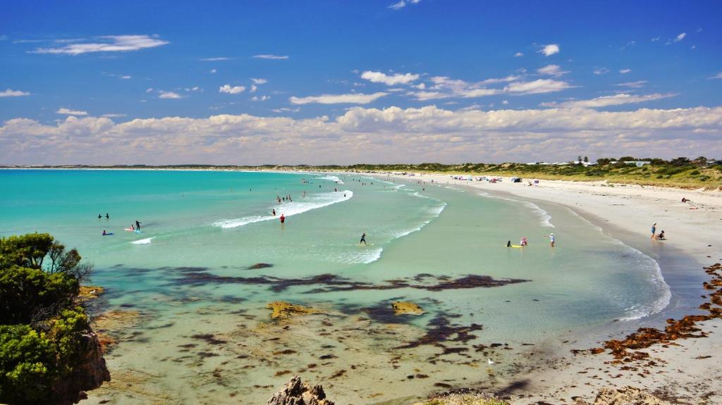 a group of people in the water at a beach at Discovery Parks - Robe in Robe