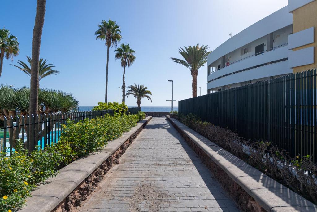 Apartamentos Cordial Judoca Beach, Playa del Inglés ...