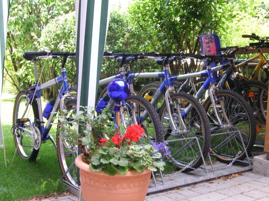 Jízda na kole v ubytování Hotel B&B Martha nebo okolí