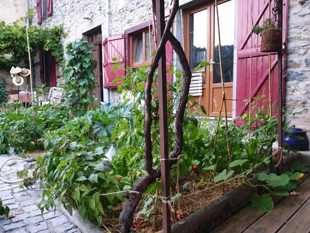 Zahrada ubytování chambre et table d'hôtes La Grande Ourse