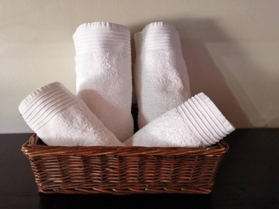 Φωτογραφία από το άλμπουμ του Shai's Studio σε Centurion