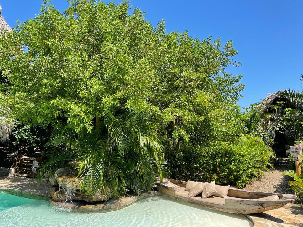 un barco sentado en el agua junto a un árbol en Eco Xata, en Santa Verónica