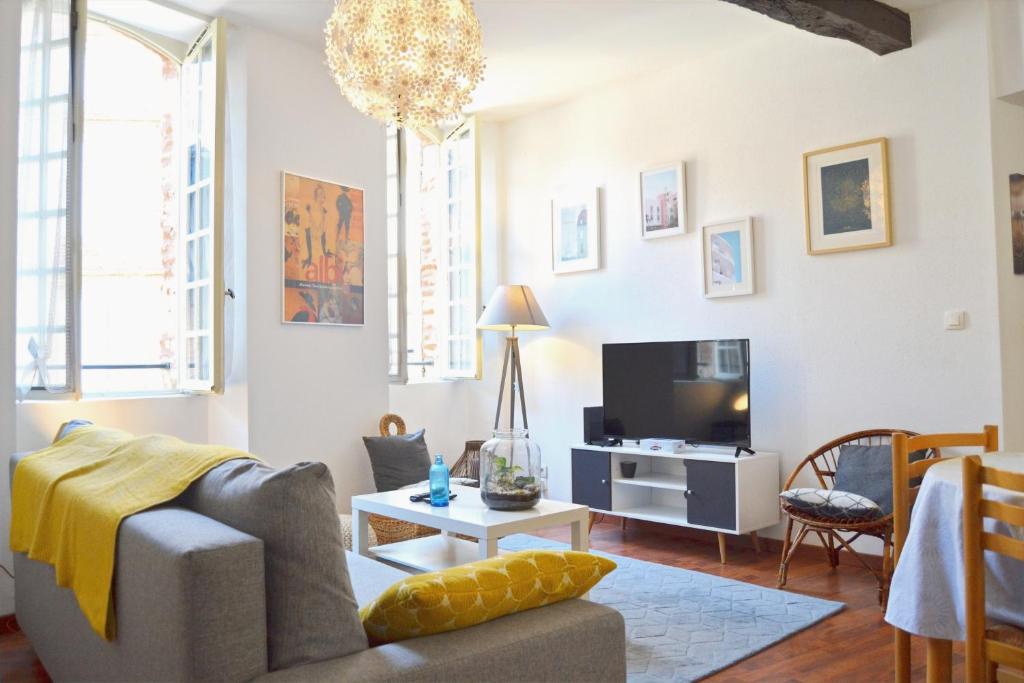 un soggiorno con divano e TV di Le Chaud Vin ad Albi