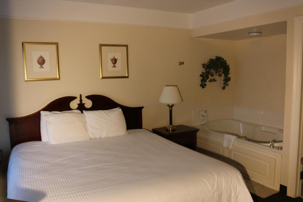 1 dormitorio con cama y bañera en Imperial Swan Hotel and Suites Lakeland, en Lakeland