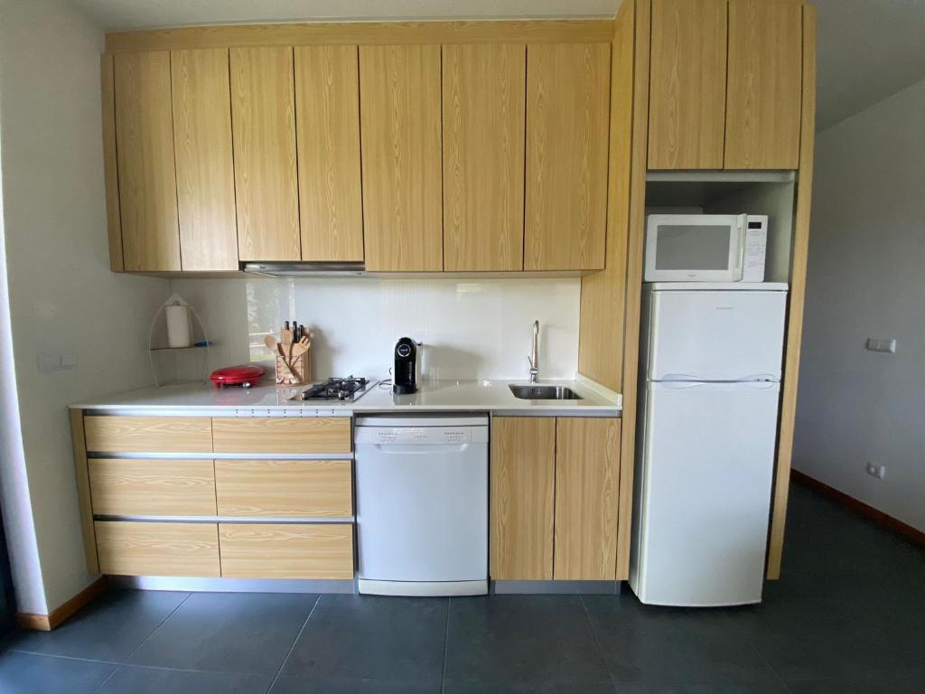 Kuchyň nebo kuchyňský kout v ubytování Dobau casas