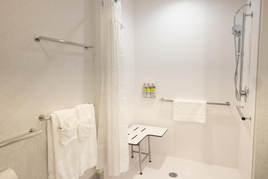 Holiday Inn Express & Suites - Harrisonburg University Area by IHG - Chambre King - Accès Handicapé Douche à L'Italienne