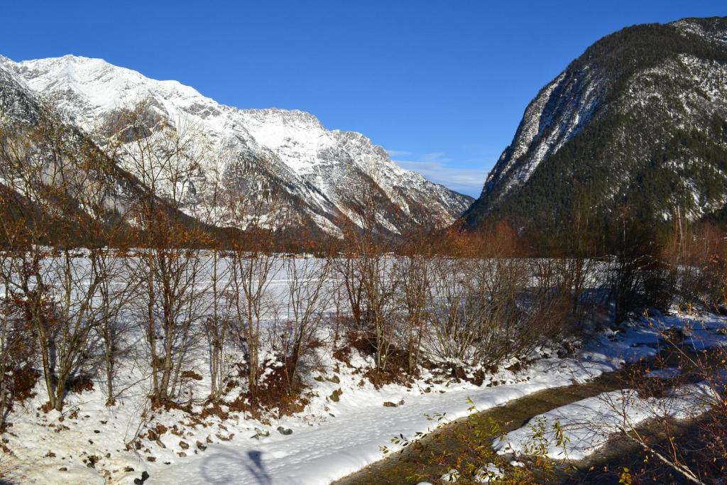 Príroda v okolí apartmánu