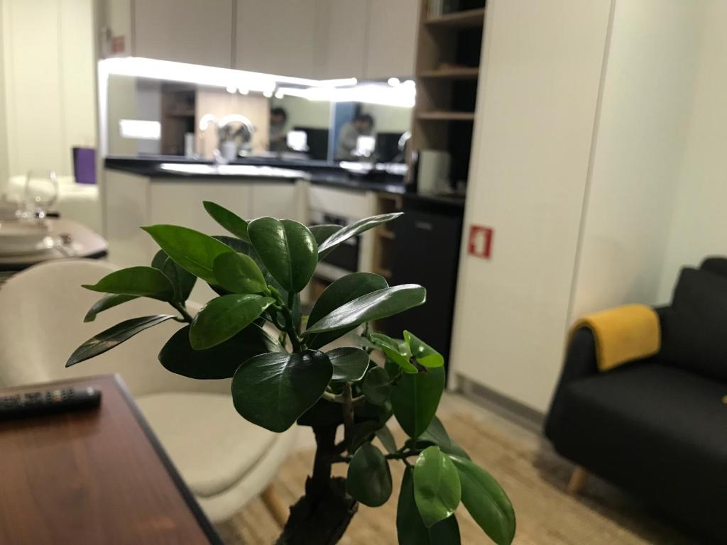 Marquês d'Aveiro Suite - 5