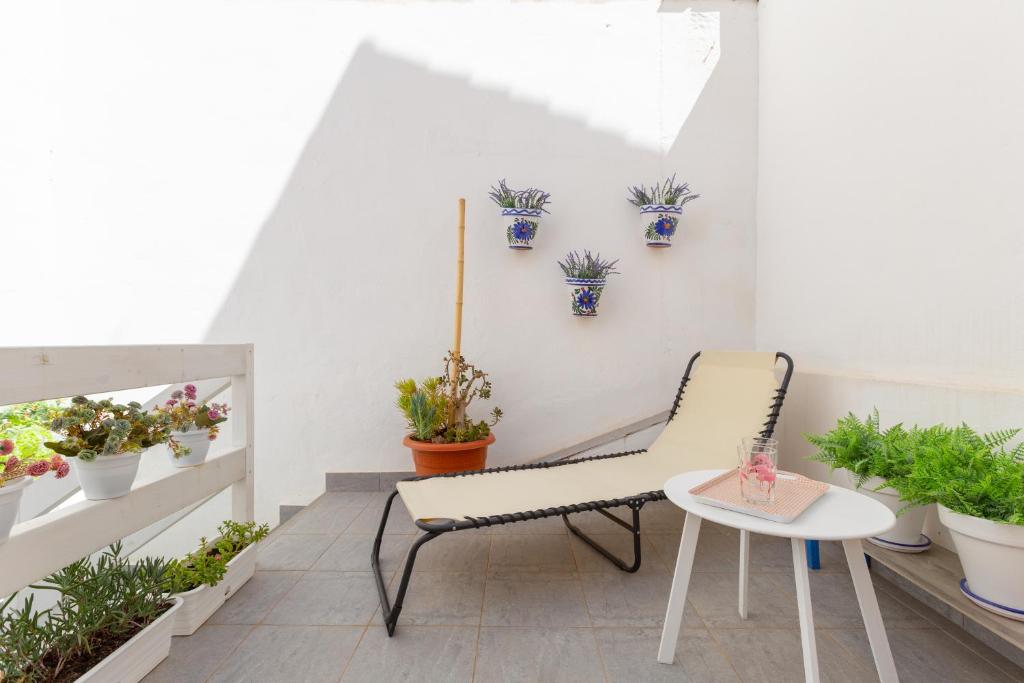 Casa Salamandra