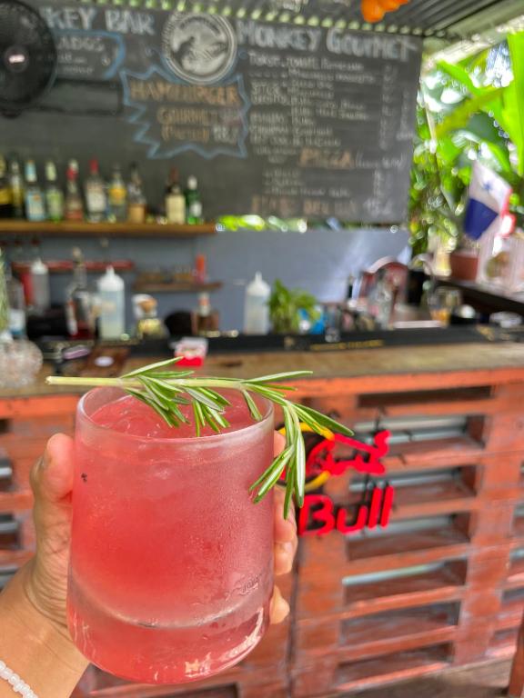 a person holding a drink with a rosemary branch in it at Monkey Lodge Panama in Chilibre