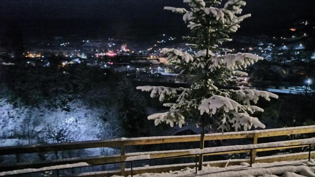 a tree covered in snow next to a fence at Panoramic Chalet in Vişeu de Sus