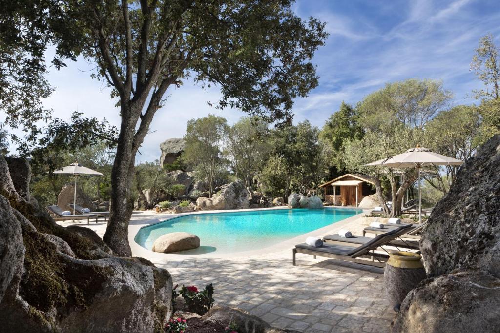 a swimming pool with a bench and a tree at Gallicantu Stazzo Retreat in Luogosanto
