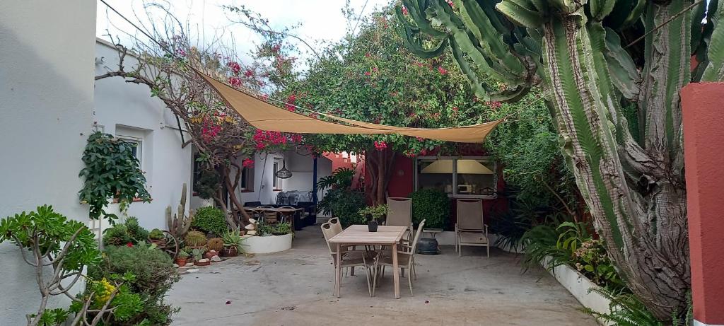 a patio with a table and chairs and plants at Can Juvimar in El Poblenou del Delta
