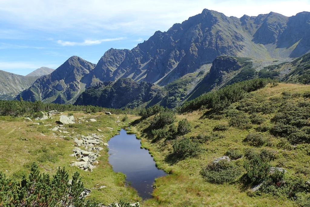 Naturlandskabet i n&aelig;rheden af feriehuset