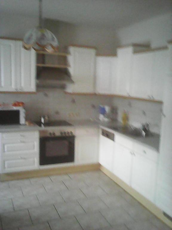 Kuchyň nebo kuchyňský kout v ubytování Ferienwohnung Hammerlhaus-Zirngast