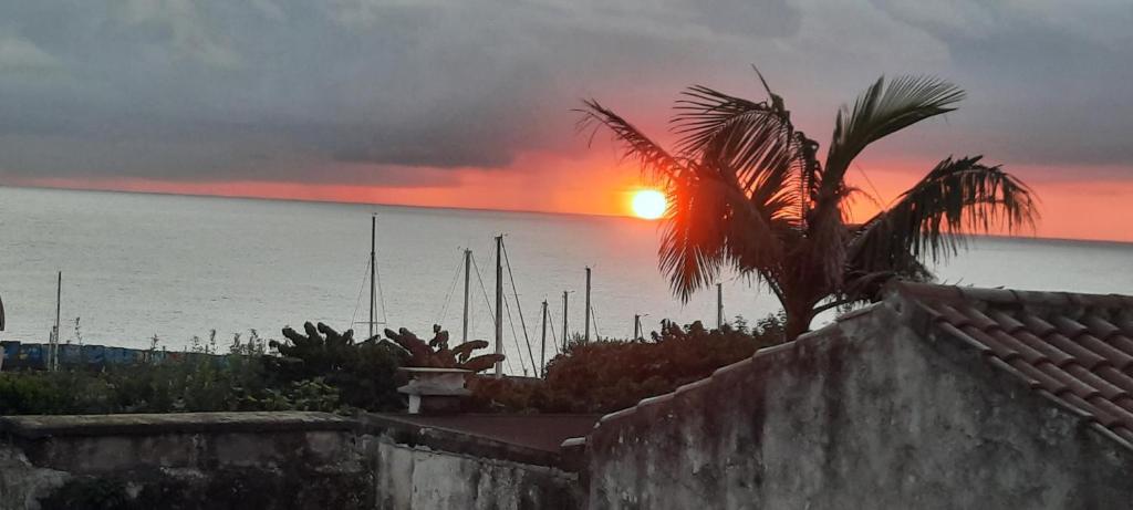 a sunset over the ocean with a palm tree at Sunrise House- 4 bedroom house with amazing sunrise over the sea 10 guests in Vila Franca do Campo