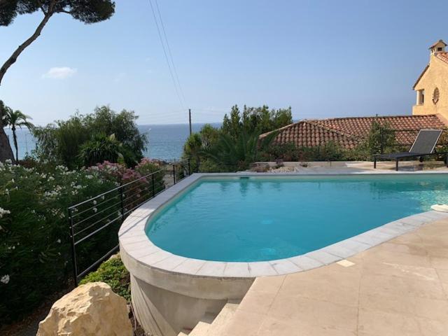 Het zwembad bij of vlak bij Croisette immo Villa 5 Chambres Bord de Mer Cannes