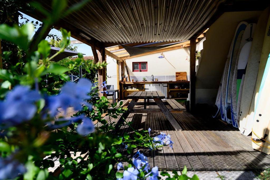 Zahrada ubytování The Secret Spot Lodge
